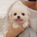 지금