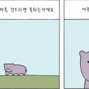 화성동물병원 - 성주군 시장길 6 | 화성동물병원