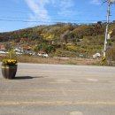 참조은소리독일보청기 이미지