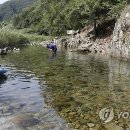 횡성군 병지방 오토캠핑장 이미지