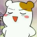 SG FITNESS 이미지