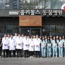 24시 올리몰스 동물메디컬센터 이미지