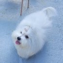 Coton4u 이미지