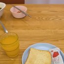 은둔의광장 | [15R] 승점 사냥꾼 제주 출동. | K리그 FC안양vs제주SK | 2박 3일 제주 원정 여행기 | 월드컵 휴식기