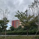 영암국민체육센터 수영장 이미지