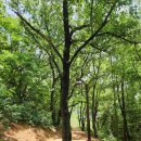 서구 구민운동장 입구 이미지