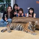 태국 8/23 - 8/29 (1)
