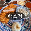 영희네야채.과일 | 범계 부드러운 돈까스와 시원한 냉소바 맛집 백소정 범계점 내돈내산 후기