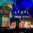 홍남교 공중화장실(두바퀴) | 연말공연추천 태양의 서커스 쿠자 서울 예매 할인 A석 205구역 K열 직관후기