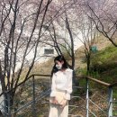 별담다 이미지
