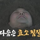 수락산 편백원 이미지