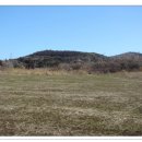 효명목장 이미지