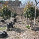 후계자 농장 이미지