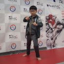 jin.s 태권도장 이미지