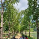 쑥티마을 이미지