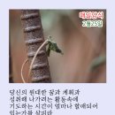매일양식2