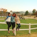 임실목장 이미지