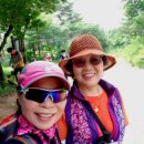 명품소나무길 이미지