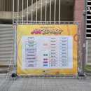 파라솔 | [대전행사용품렌탈] 2026 서구아트페어 탄방동 로데오타운 몽골천막 &amp; 파라솔 설치 후기