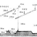 인삼재배기술 이미지