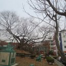 부천여자중학교 이미지