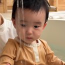 멍쿠실낭 이미지