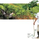 에스케이농장 이미지