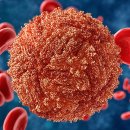 바이러스 이미지