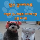 퍼펙트바이트 | 노령견사료 힐스 강아지사료 어덜트 7+ 퍼펙트 다이제스천 스몰 바이트 1.6kg