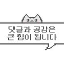 양촌랜드 이미지