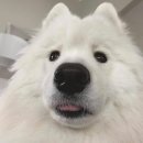 MJ컨벤션