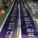 백조문구