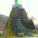 양대초등학교 이미지