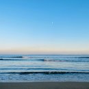 죽도 대게타운 이미지