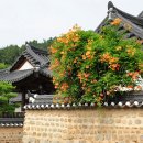 육신사(구) 이미지