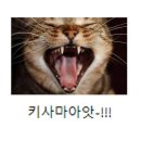 니조시장 이미지