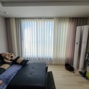 촉시 | 피톤치드커튼_먼지없는커튼 들어보셨나요?