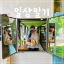 싹쓸어장터 | 5월 마지막 주 일기 + 6월 첫째 주 일기 / 빠글머리 했어요! / 이제 조금 마음이 편해졌다 / 열심히...