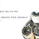지만 Daum카페