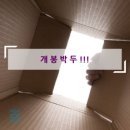 헤세드 이미지