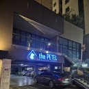 더펫텔 | 부산여행 애견동반 호텔 더펫텔프리미엄스위트 2박 후기
