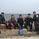 대진투어 - 고흥군 녹동신항7길 3 | 대진투어