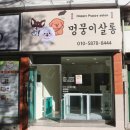 멍뭉이네 살롱 이미지