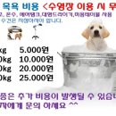 애니멀 패밀리 이미지