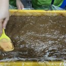 도토리캠프 이미지