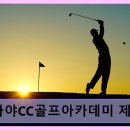 가야CC골프아카데미 제니스 네이버블로그