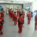 용인대STA태권도장 이미지