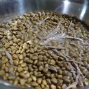 수 덕 정 이미지