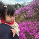 (주)효성안양공장 - 4908 | 안양 효성공장 4월4일 진달래동산 후기