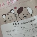 만세동물병원 | 센터] _과잉진료 없는 일산 동물병원추천 (담낭슬러지/ 강아지 낭종 /심장사상충 약) 동물병원 옮긴후기